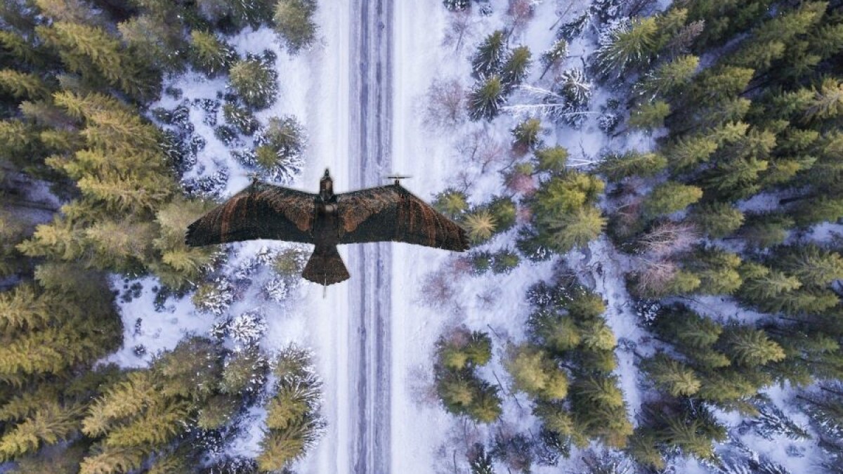 Eagle 47 deals drone